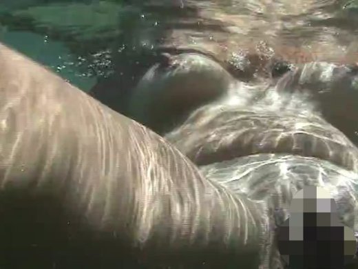 Amateurvideo Adria Unterwasser Arschfingern von Lady_Xtreme
